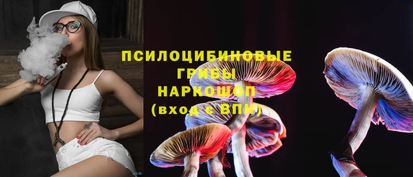 каннабис Аркадак